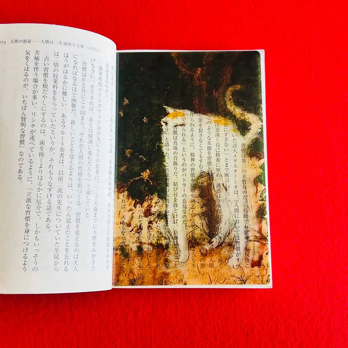 【誠品獨家】日本ZEROBASE世界名畫透明書籤/ 波納爾/ 白貓