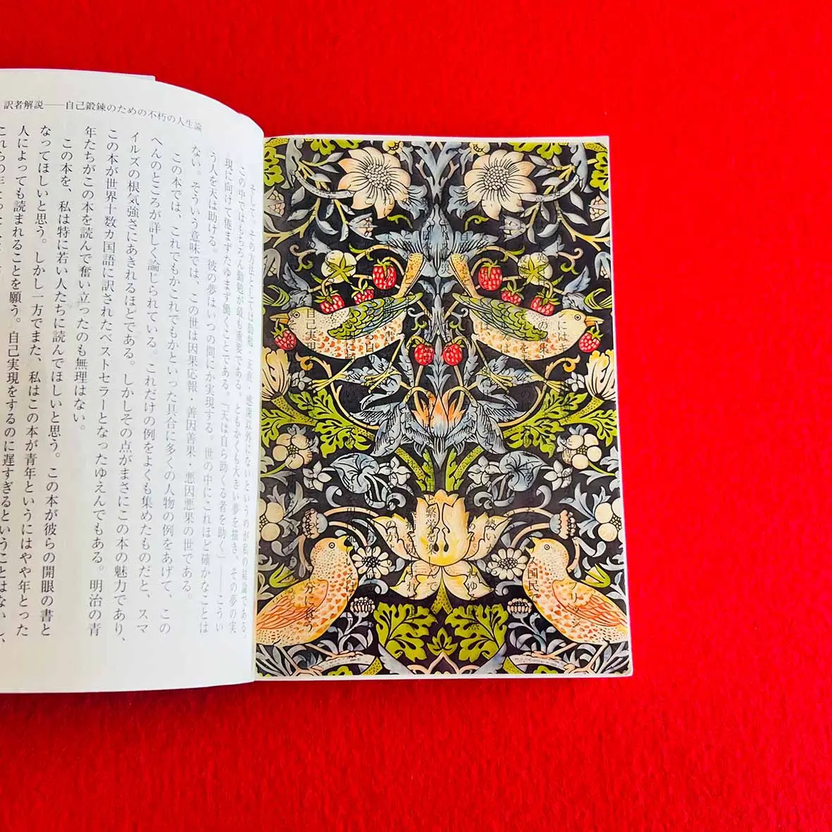 【誠品獨家】日本ZEROBASE世界名畫透明書籤/ 威廉．莫里斯/ 草莓小偷