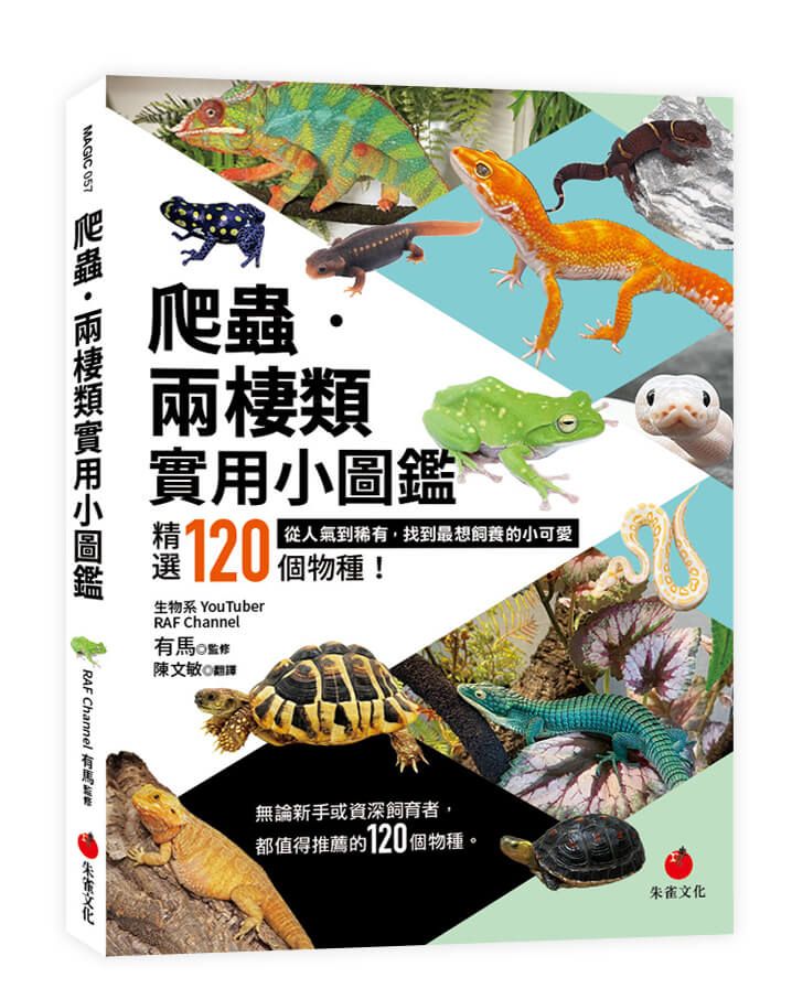 爬蟲．兩棲類實用小圖鑑: 精選120個物種! 從人氣到稀有, 找到最想飼養的小可愛