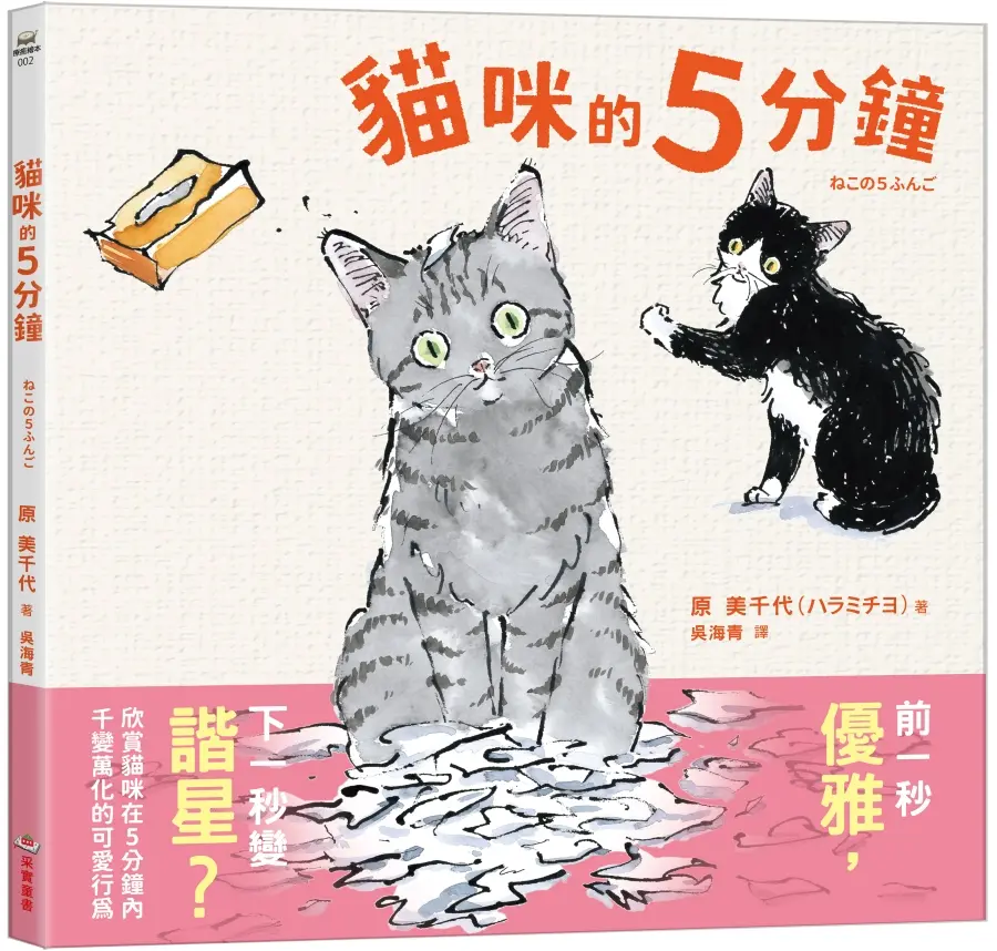貓咪的5分鐘