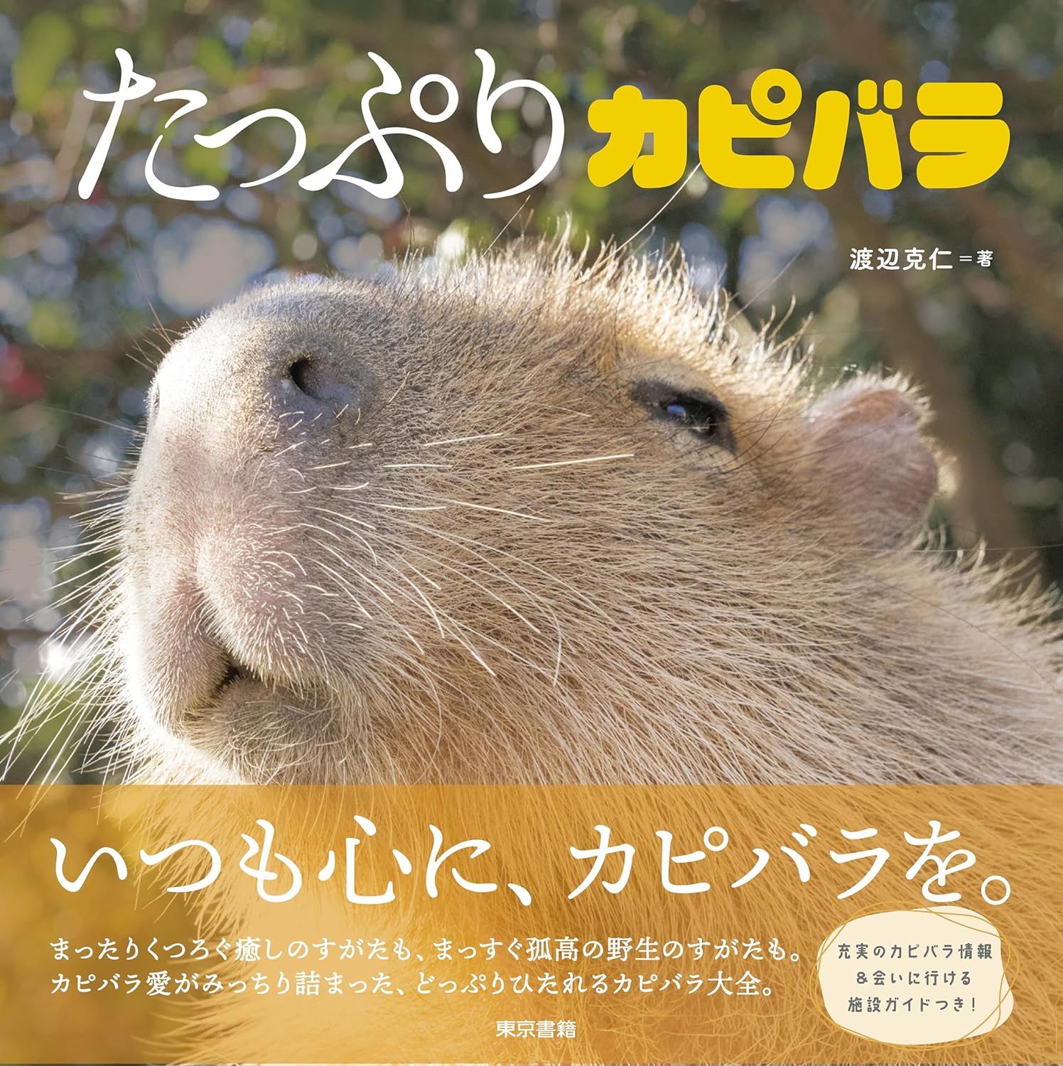たっぷりカピバラ