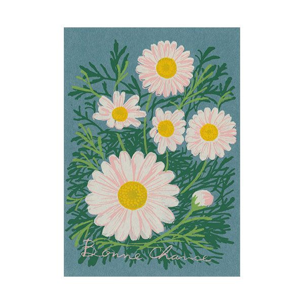 日本 dimanche 明信片/ 幸福小雛菊/ 祝你幸運