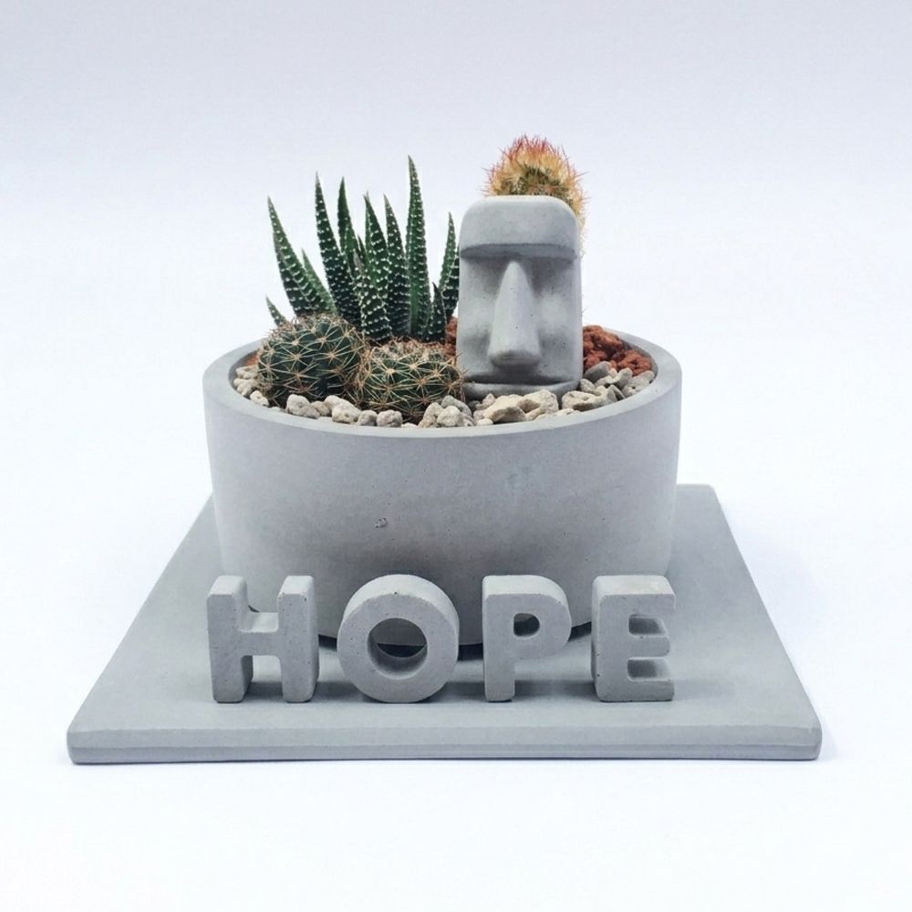 屬於自己的個性花園✦島人手作【摩艾綠意花園-希望好好HOPE!】迷你仙人掌造景DIY(需要動手組裝)