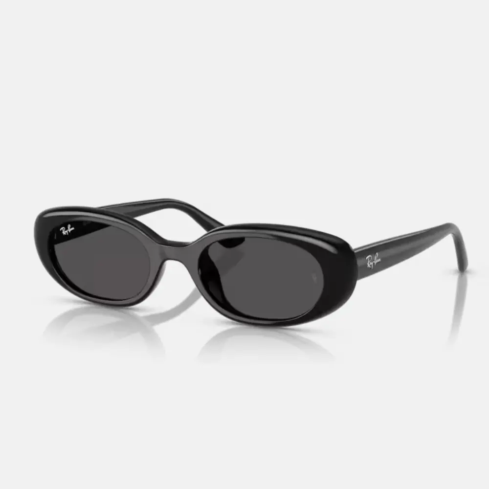 Ray Ban｜RB4441D-667787 膠框太陽眼鏡/ 公司貨