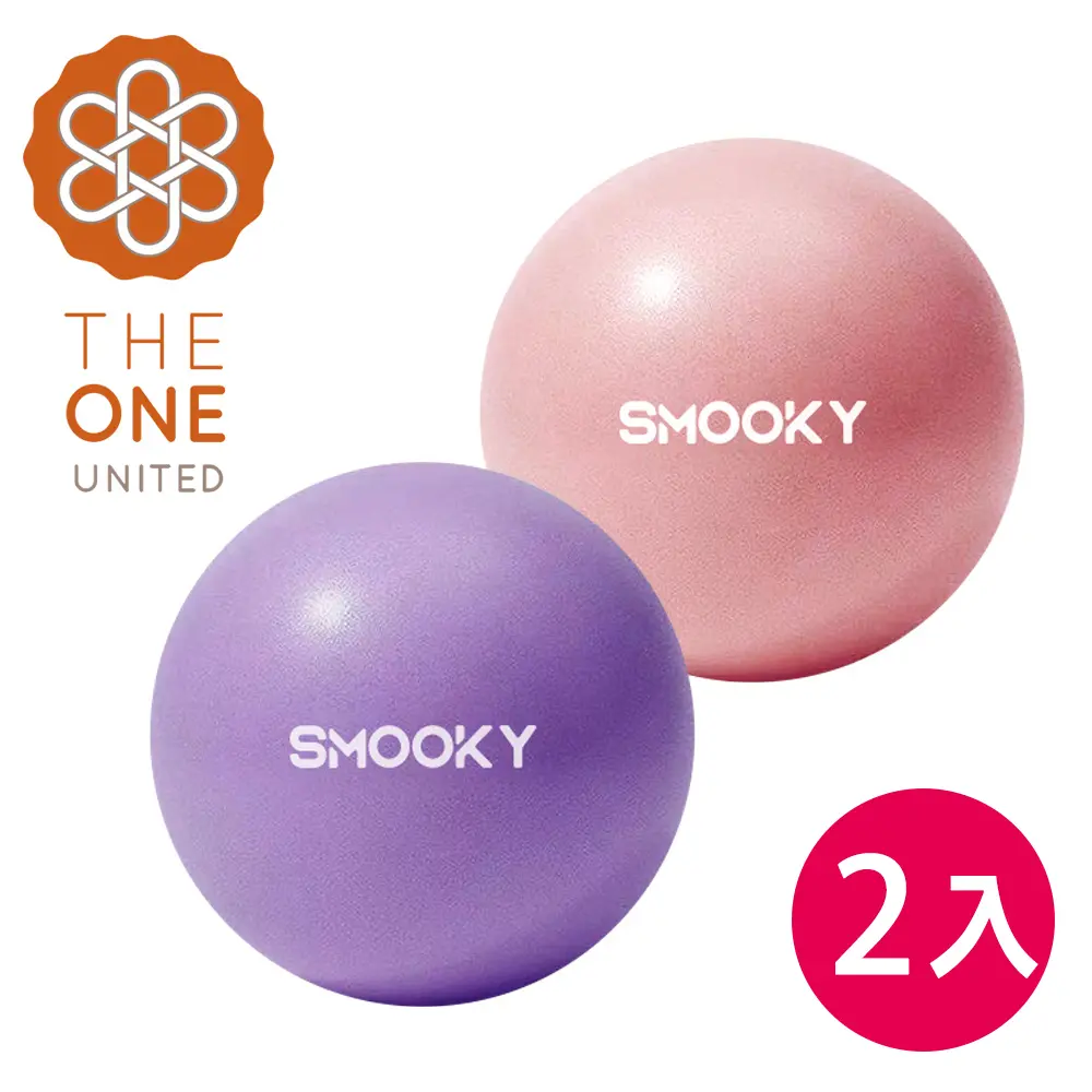 【The One】絕美限定 環保PVC皮拉提斯防爆瑜珈球25cm 超值兩入組 附打氣工具(兩色)/ 粉色+紫色