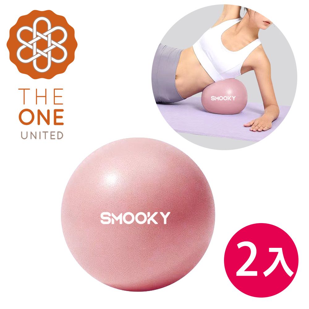 【The One】絕美限定 環保PVC皮拉提斯防爆瑜珈球25cm 超值兩入組 附打氣工具(兩色)/ 粉色 2入