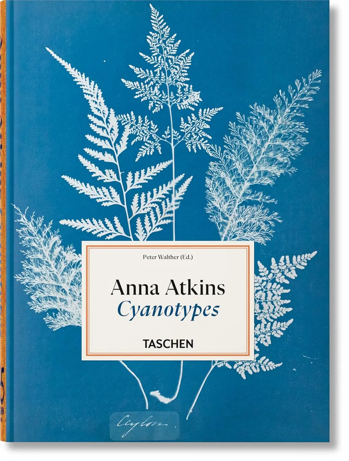 Anna Atkins: Cyanotypes (45th Ed.)