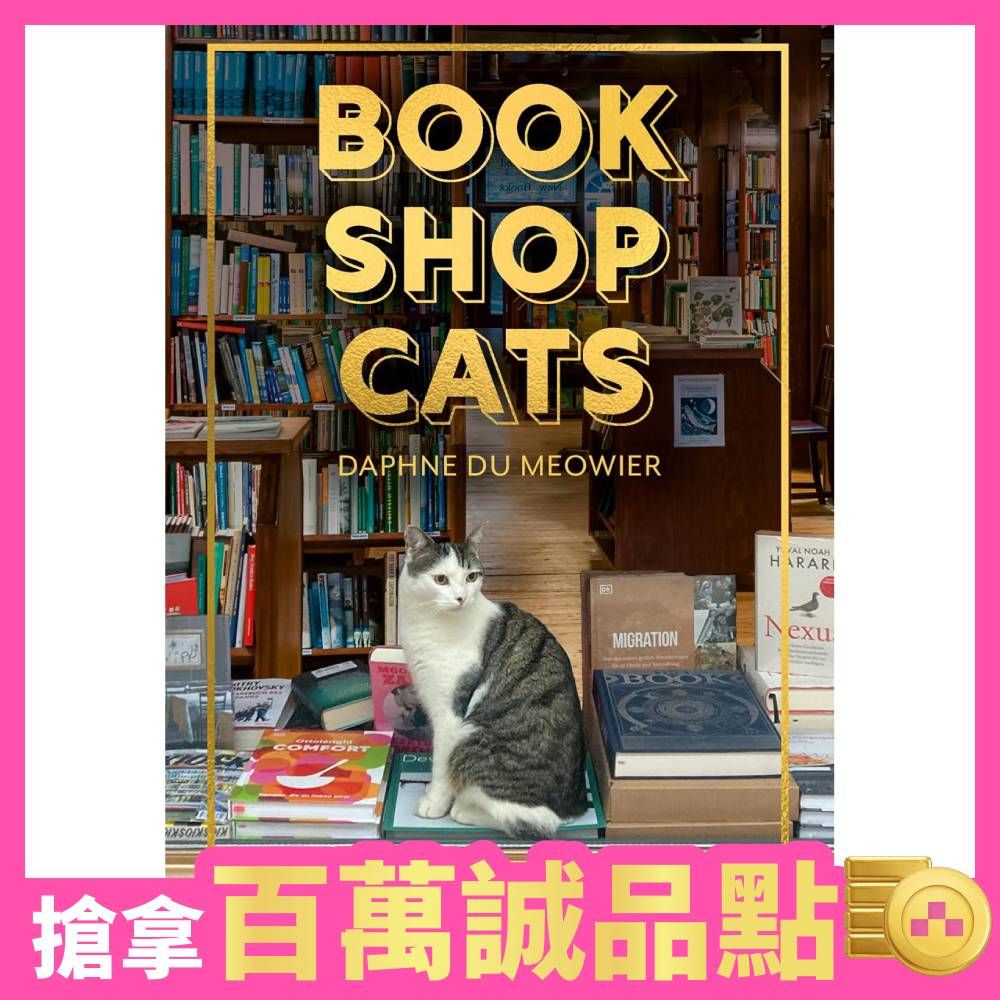 翻書聲與呼嚕聲