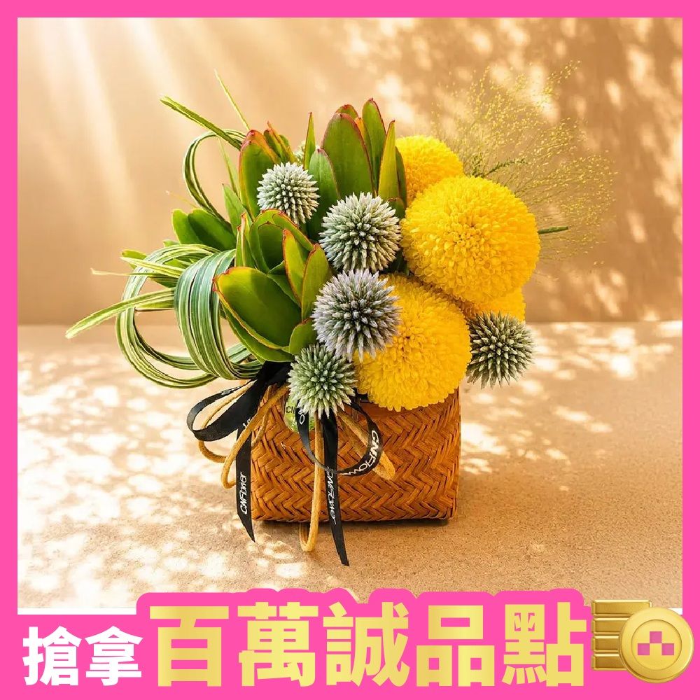 CNFlower西恩 晴禾 小盆花 鮮花