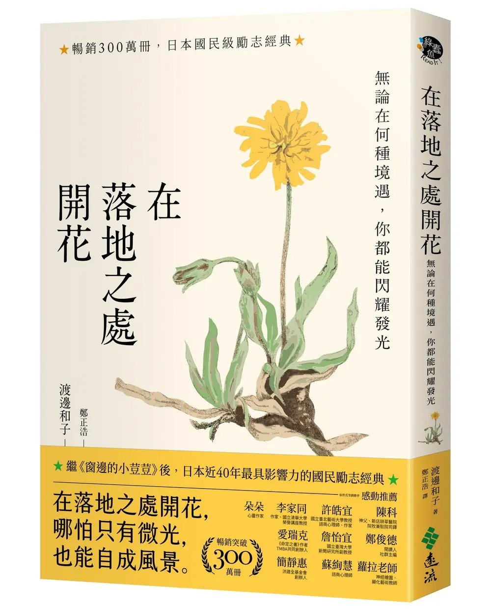 紮根當下靜綻放