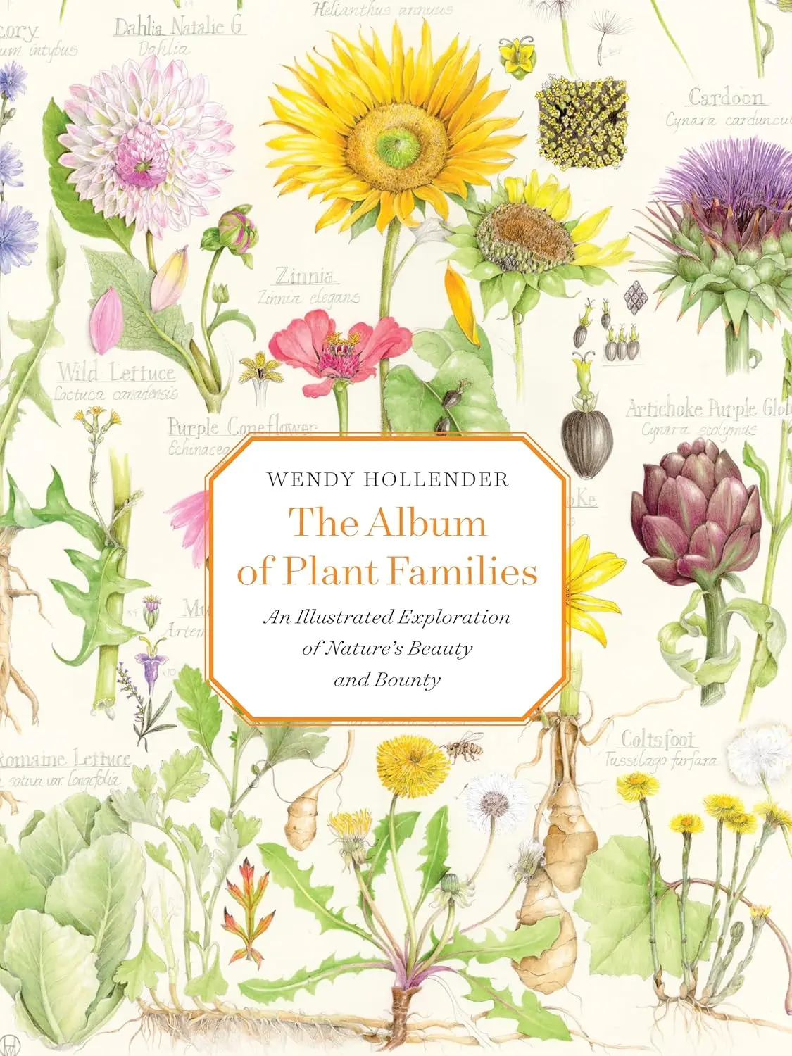 The Album of Plant Families: An Illustrated Exploration of Nature's Beauty and Bounty