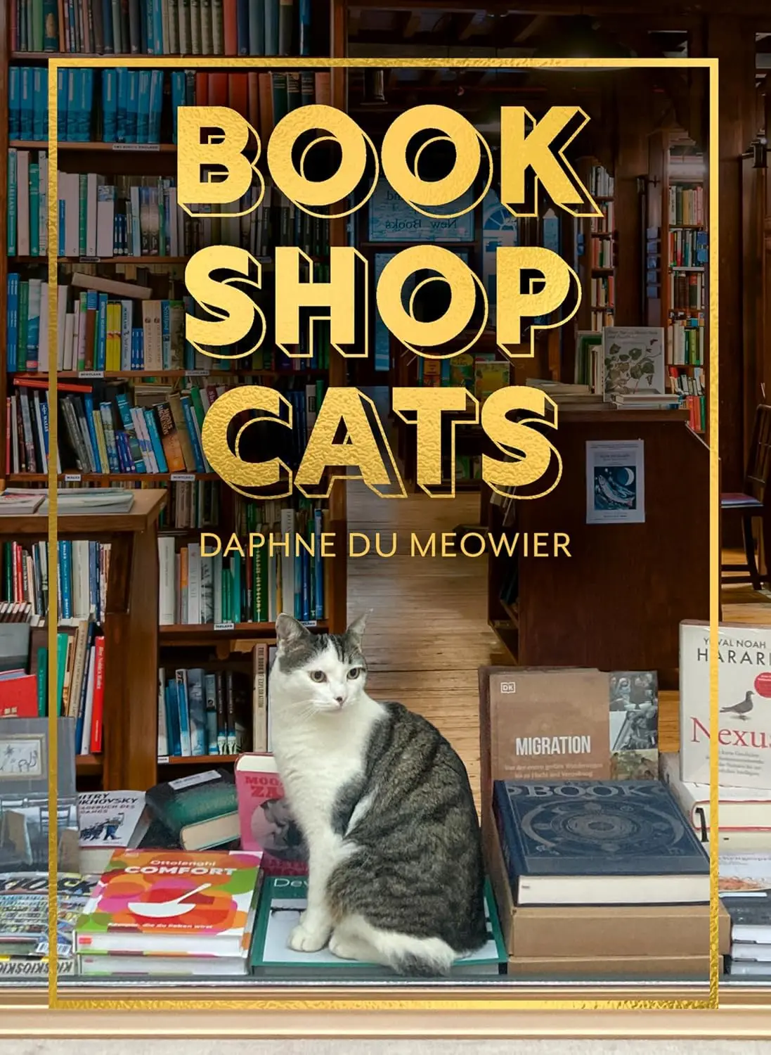 守護書店的貓咪➤橫跨全球書店的療癒攝影紀錄