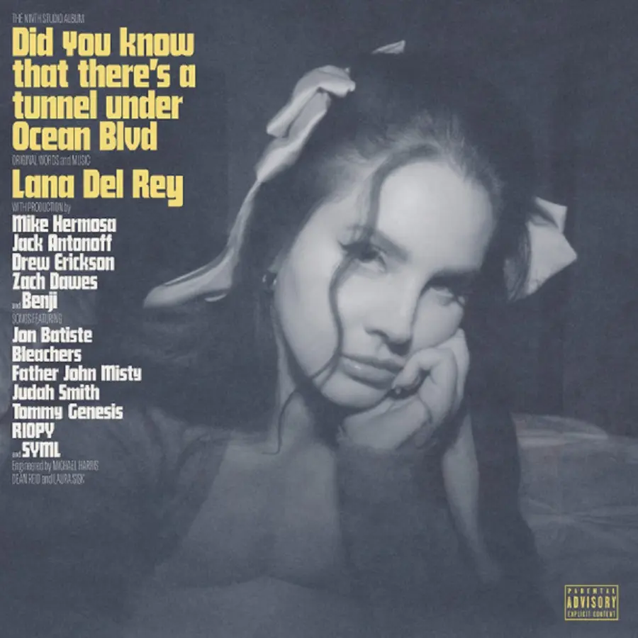 Did You Know That There's a Tunnel Under Ocean Blvd (2LP)