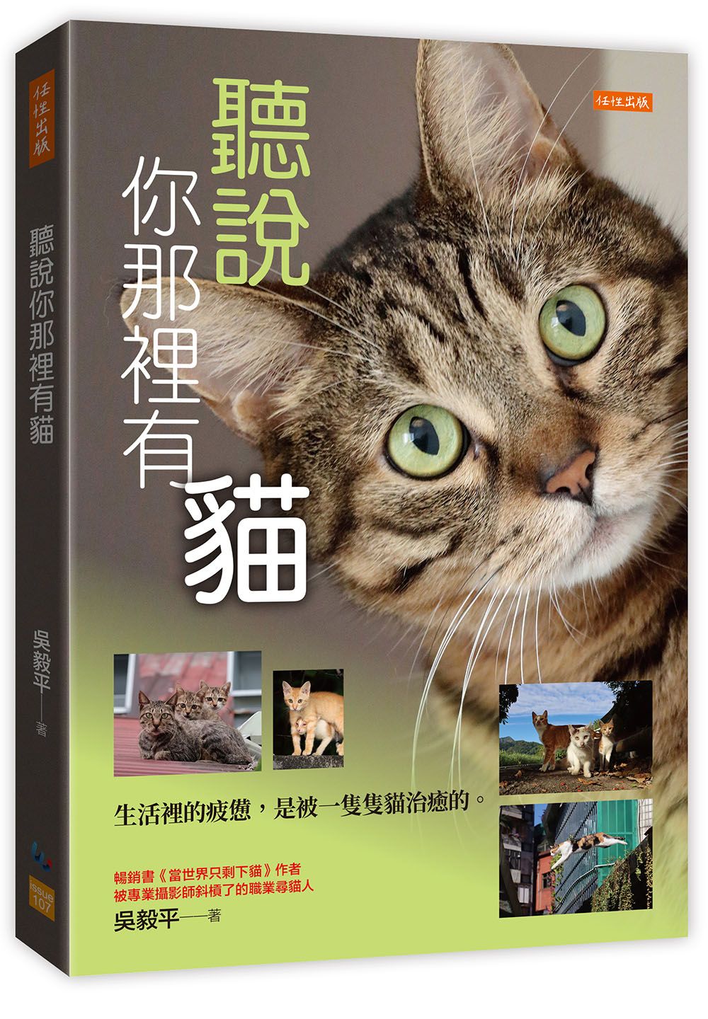 拍貓會改變人生