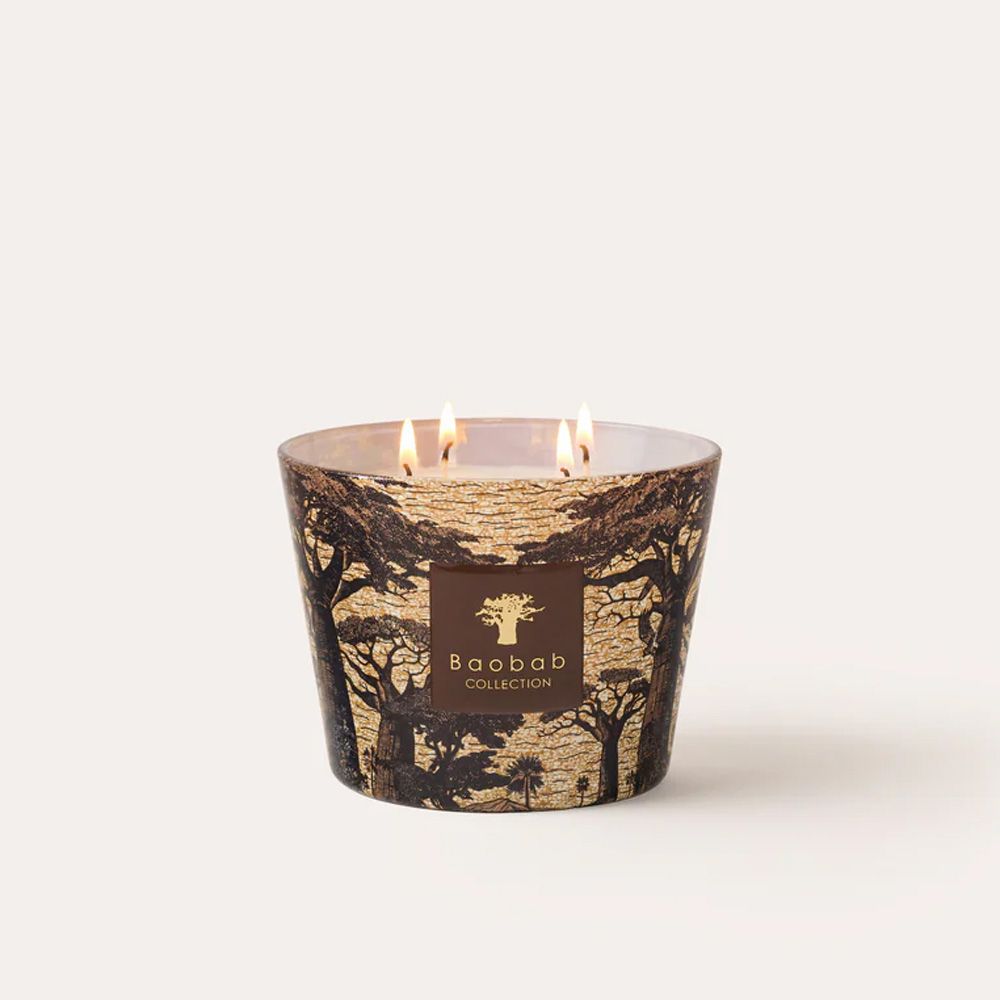 Baobab Collection 香氛蠟燭 500g / height 10cm / Mankono /Sacred Trees 曼科諾