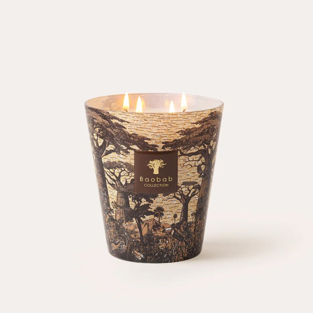 Baobab Collection 香氛蠟燭 1100g / height 16cm / Mankono /Sacred Trees 曼科諾