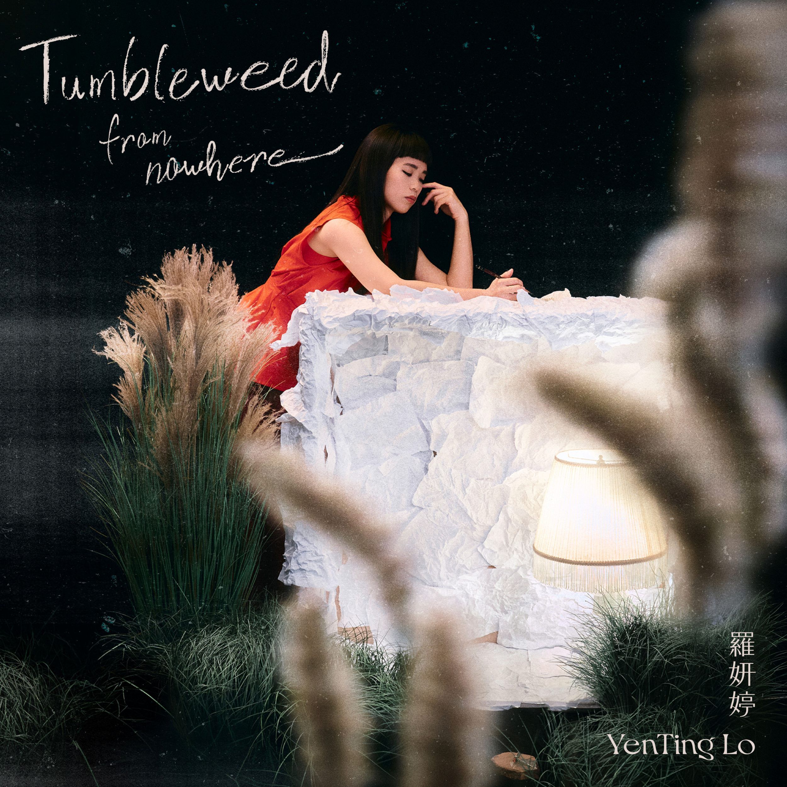 Tumbleweed from nowhere (CD)