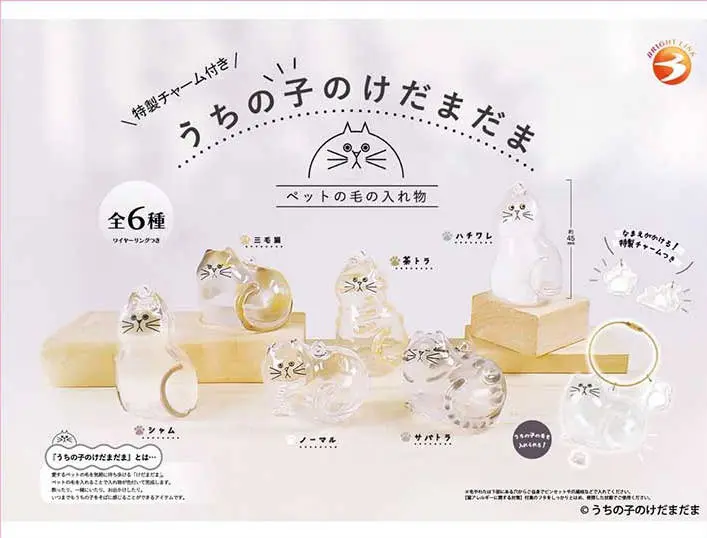 BRIGHT LINK盲盒/ 我家毛孩透明吊飾/ 特製吊牌ver./ BOX/ 單入隨機
