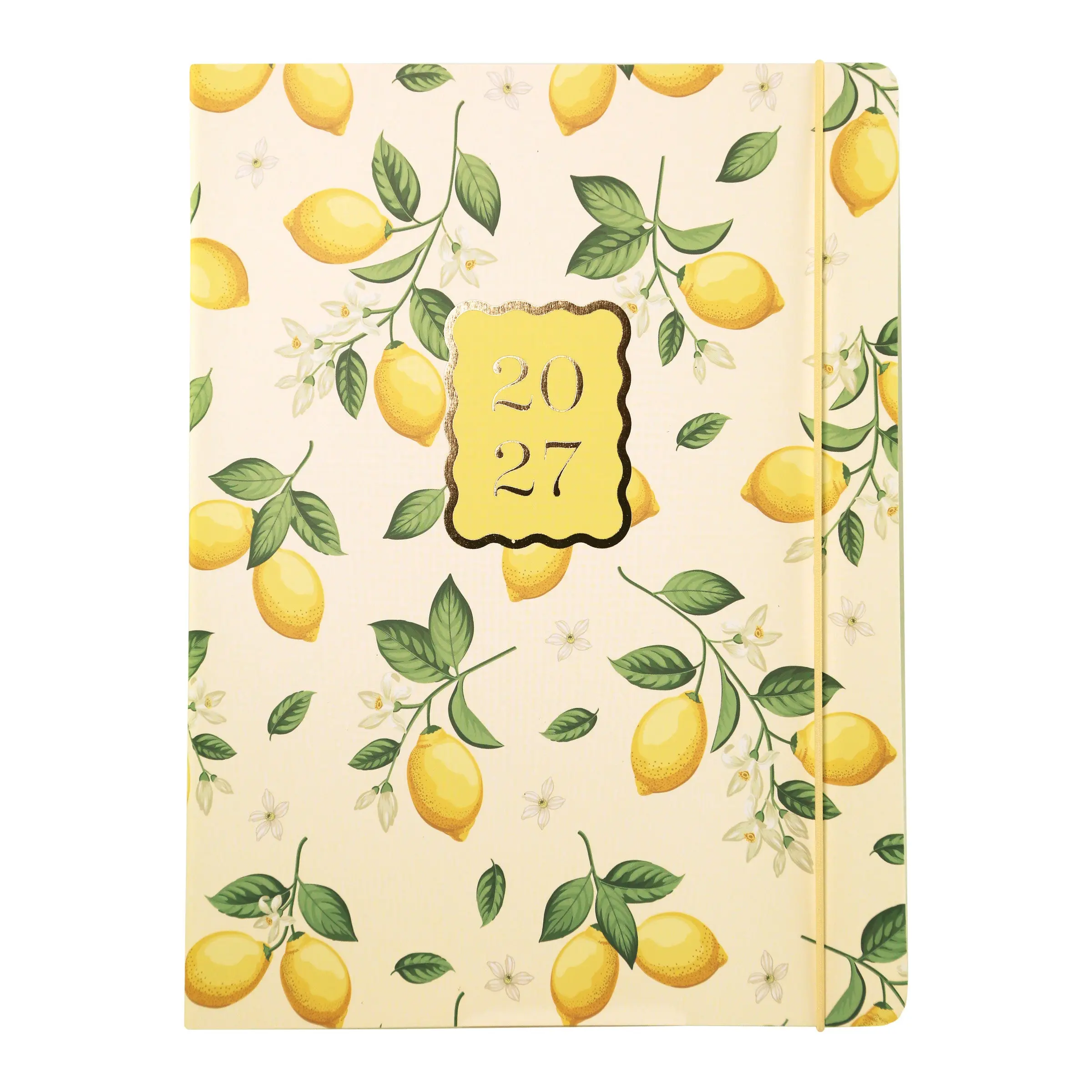 2027美國 GRAPHIQUE 18個月月計畫日誌/ 20X25CM/ 黃色檸檬