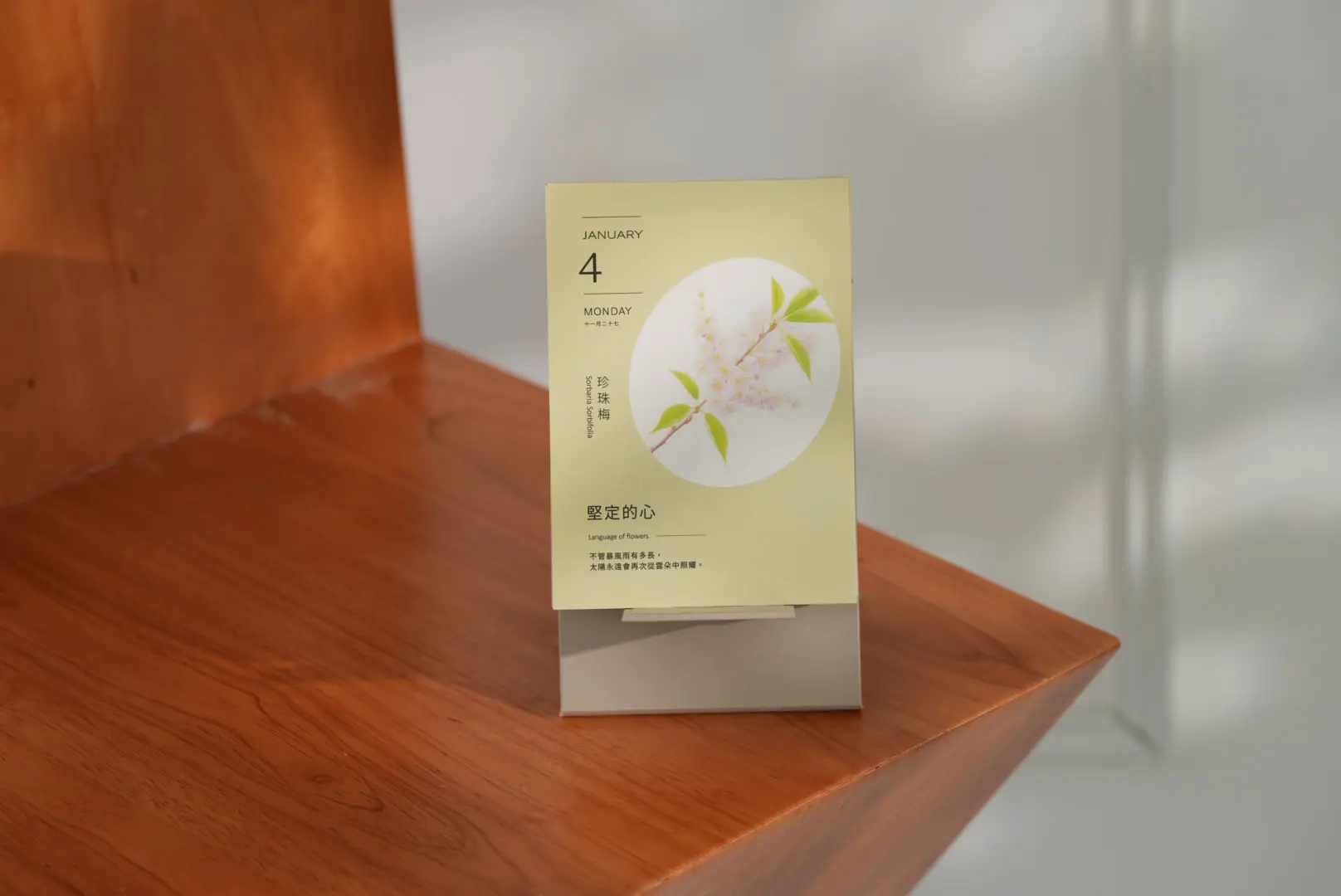 2027鮮花圖鑑日曆/ 每天認識一種花卉/ 亞麻日光