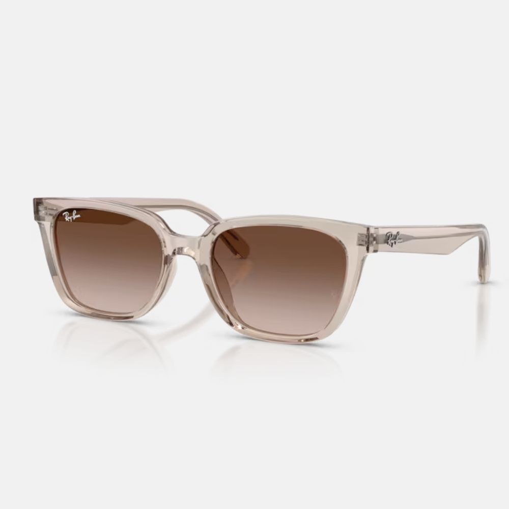 Ray Ban｜RB2243D-682713 方形膠框太陽眼鏡/ 公司貨