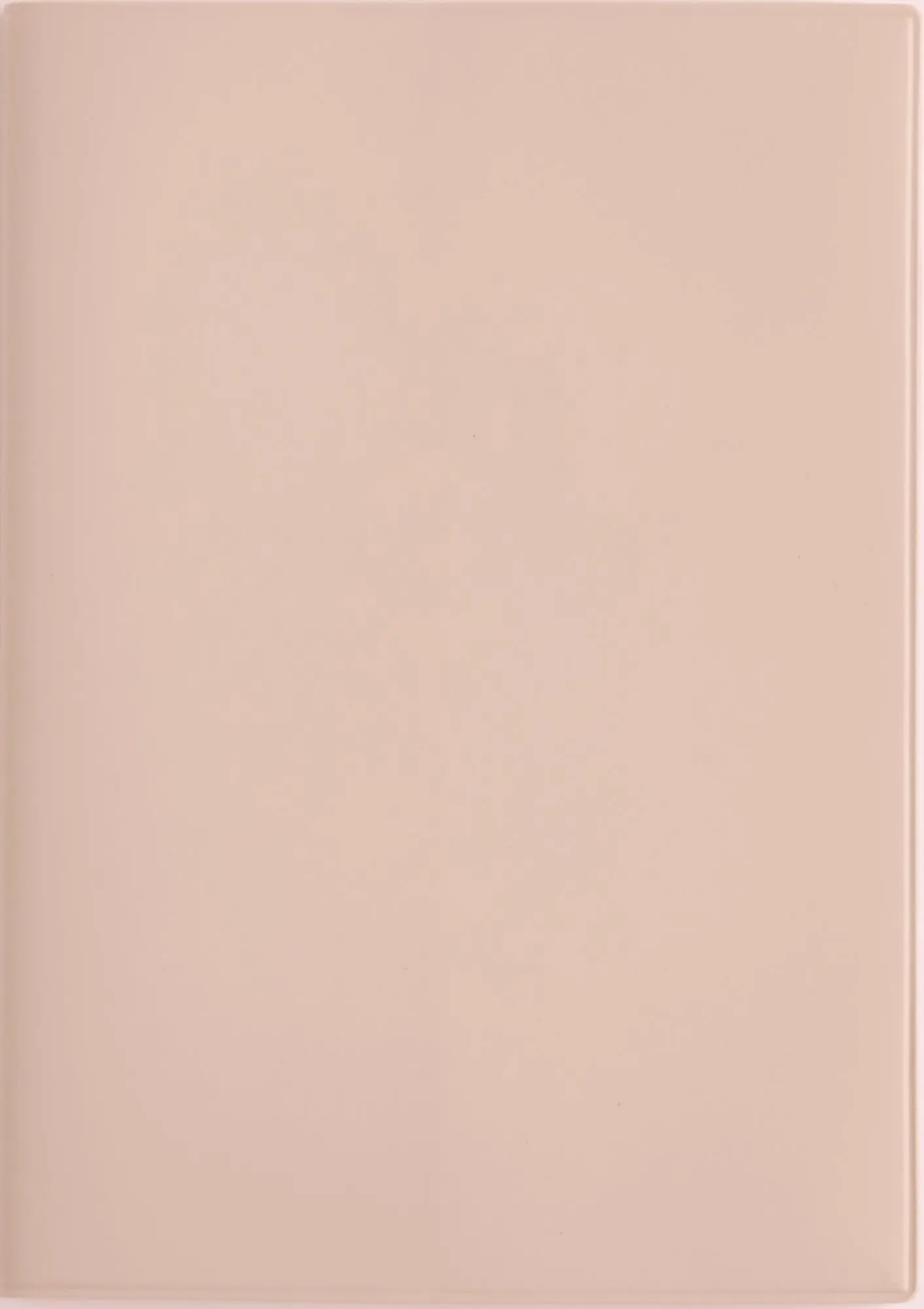 2027 日本 高橋書店 torinco 日誌/ 月間/ B6/ 粉米