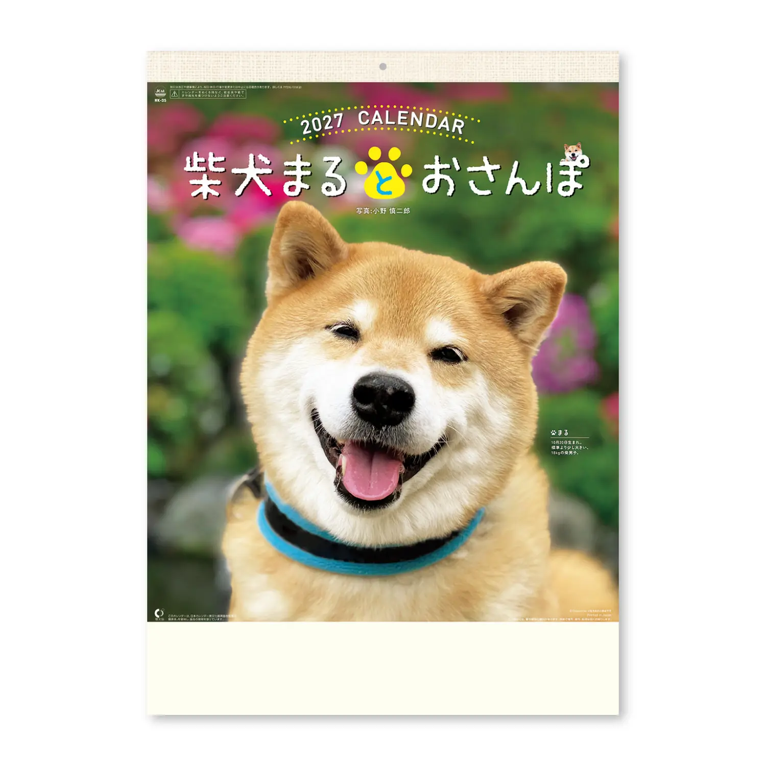 2027 日本 SHINNIPPON 掛曆/ 和柴犬MARU散步