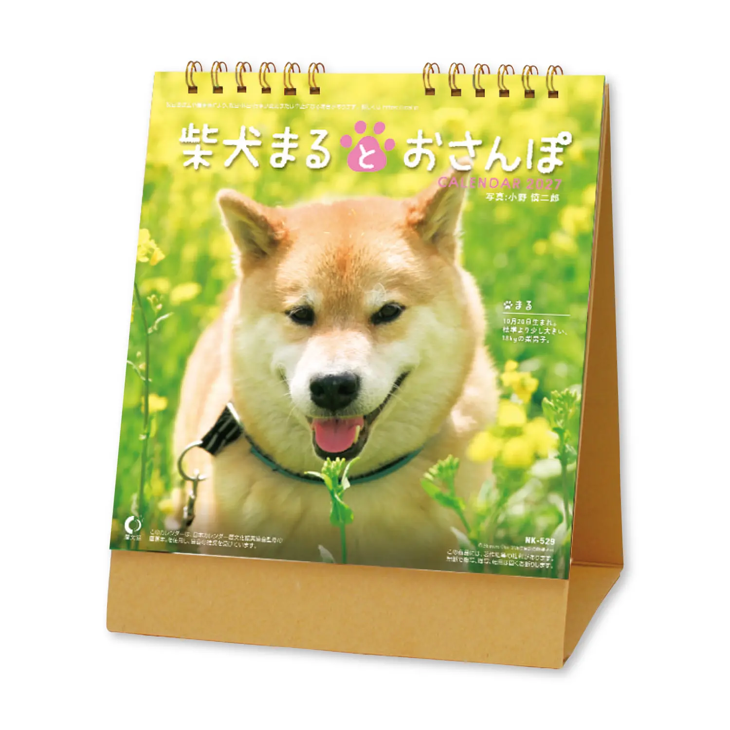 2027 日本 SHINNIPPON 桌曆/ 和柴犬MARU散步