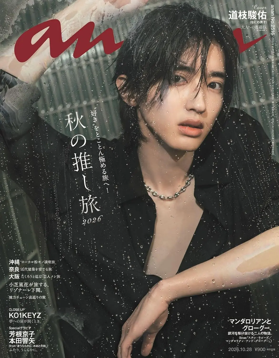 an．an (10/28/No.2516/2026)