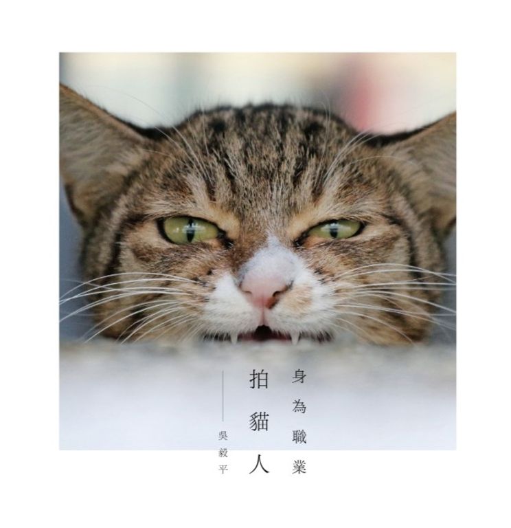 身為職業拍貓人 (電子書)