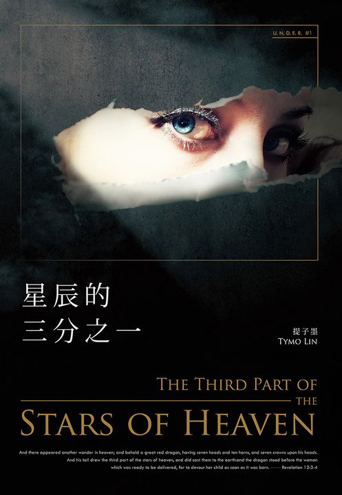 星辰的三分之一 (電子書)