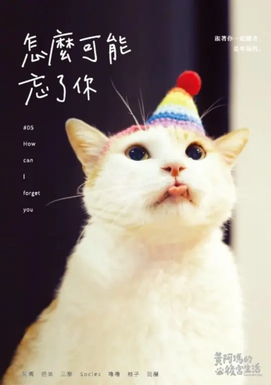 黃阿瑪的後宮生活：怎麼可能忘了你 (電子書)