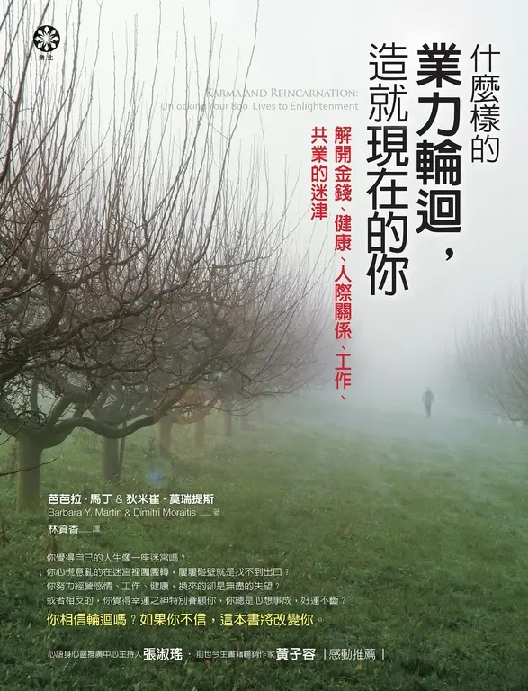 什麼樣的業力輪迴，造就現在的你：解開金錢、健康、人際關係、工作、共業的迷津 (電子書)