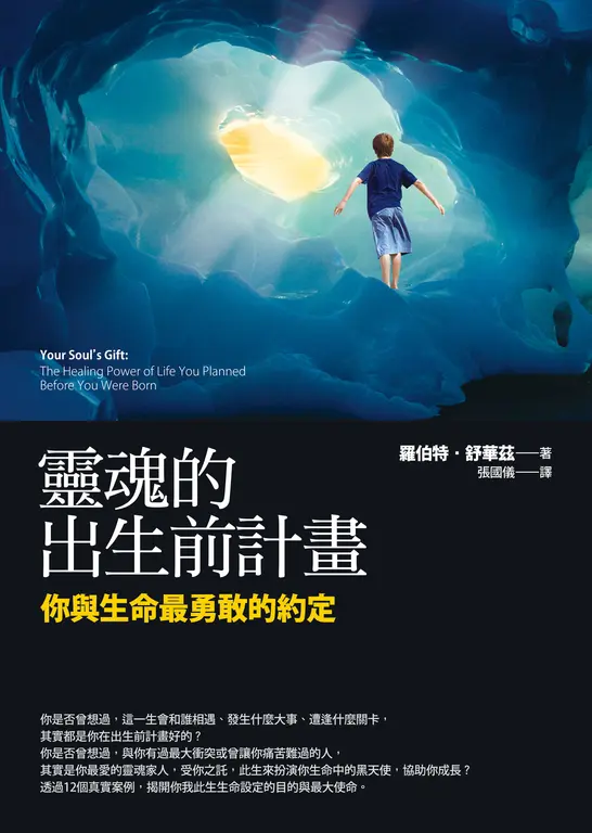 靈魂的出生前計畫：你與生命最勇敢的約定 (電子書)