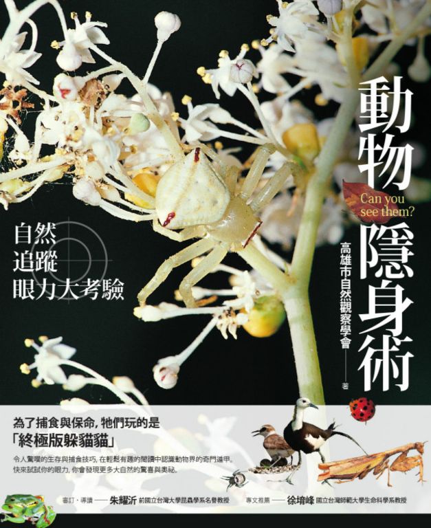 動物隱身術：自然追蹤眼力大考驗 (電子書)