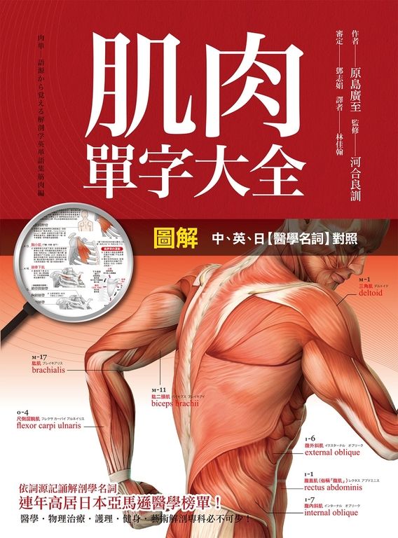 圖解 肌肉單字大全 (電子書)
