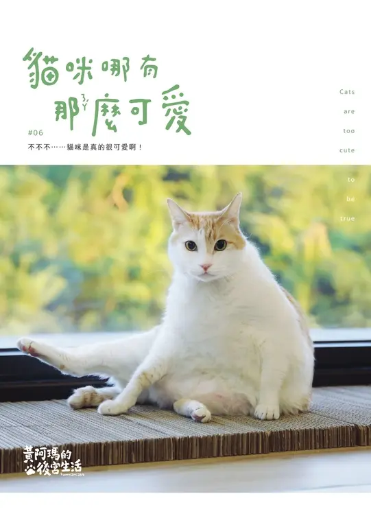 黃阿瑪的後宮生活：貓咪哪有那麼可愛 (電子書)