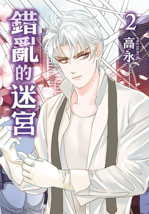 錯亂的迷宮(2)完 (電子書)