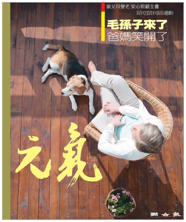 當父母變老-安心照顧全書：毛孫子來了 爸媽笑開了 (電子書)