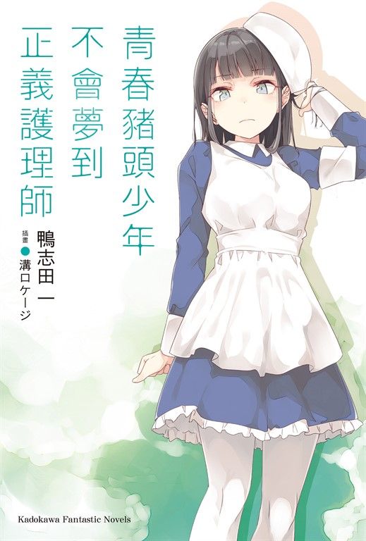 【小說】青春豬頭少年不會夢到正義護理師 (電子書)