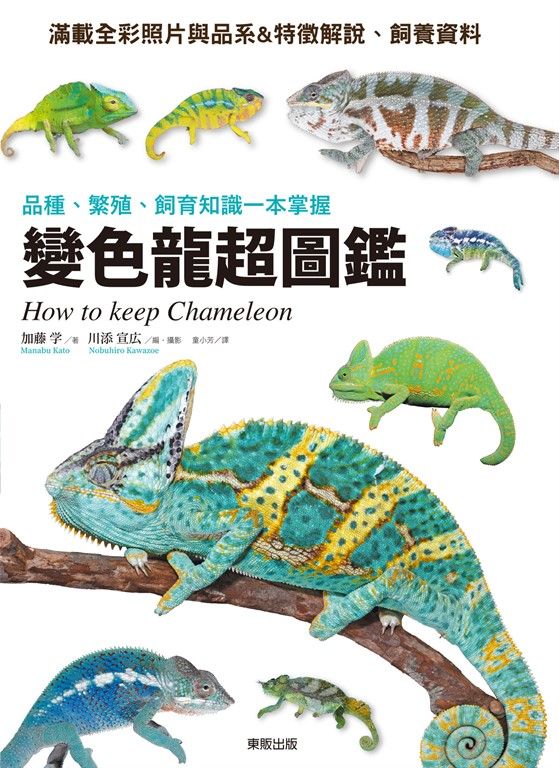 變色龍超圖鑑：品種、繁殖、飼育知識一本掌握 (電子書)