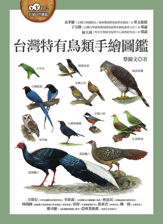 台灣特有鳥類手繪圖鑑 (電子書)