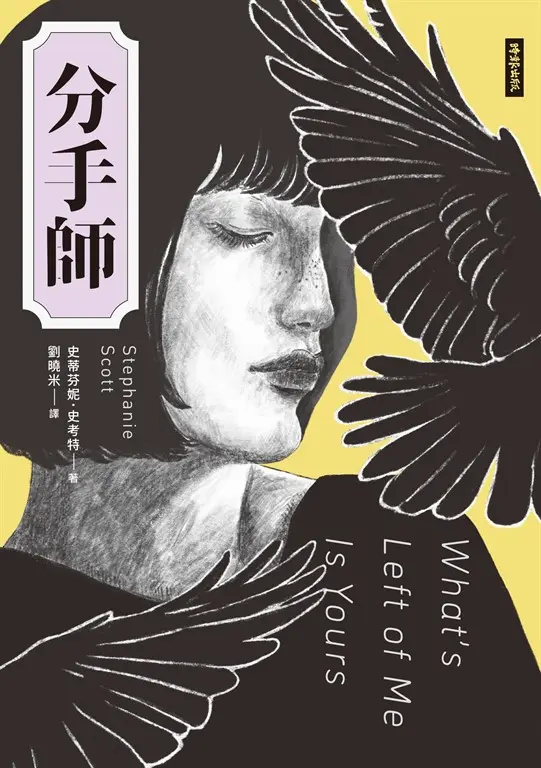 分手師 (電子書)