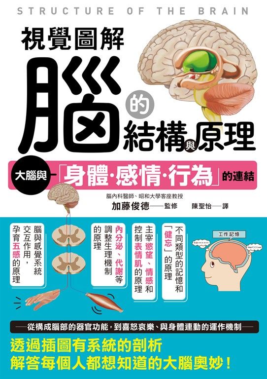 視覺圖解 腦的結構與原理 (電子書)