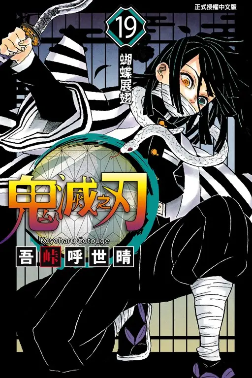 鬼滅之刃 (19) (電子書)