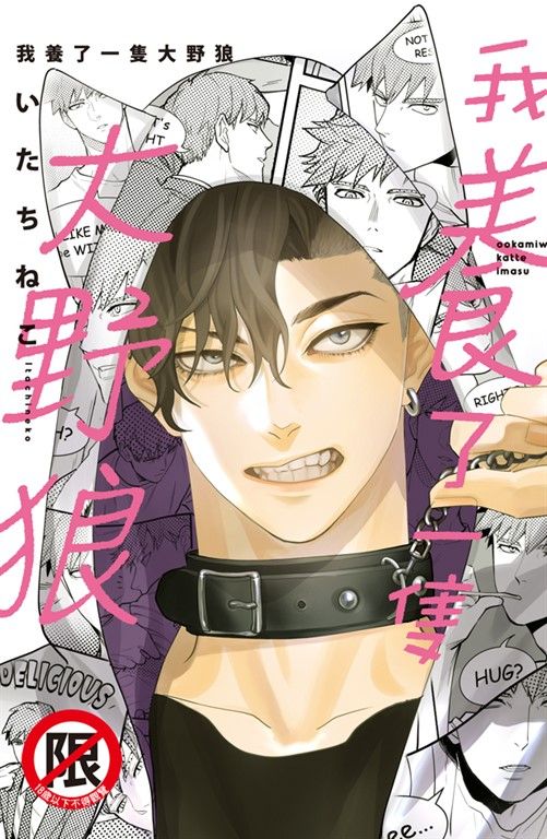 我養了一隻大野狼 (電子書)
