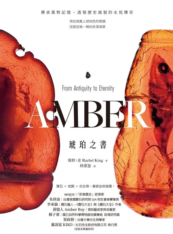 琥珀之書：傳承萬物記憶、透視歷史風貌的永恆傳奇 (電子書)