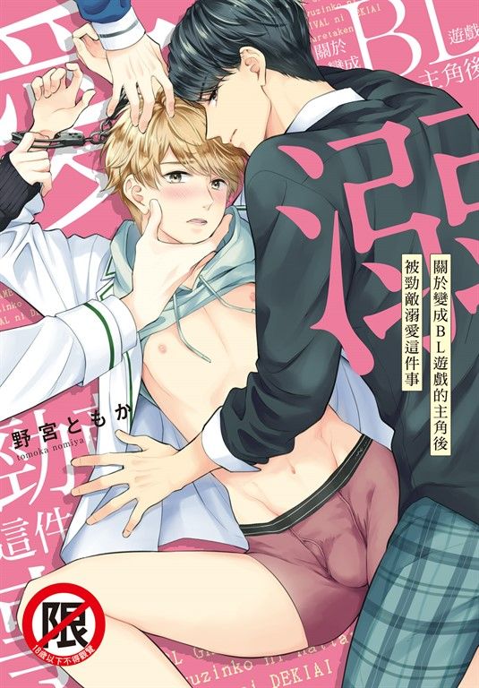 關於變成BL遊戲的主角後被勁敵溺愛這件事 (電子書)