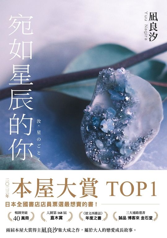 宛如星辰的你【2023年本屋大賞TOP1】（璀璨如星版書封） (電子書)