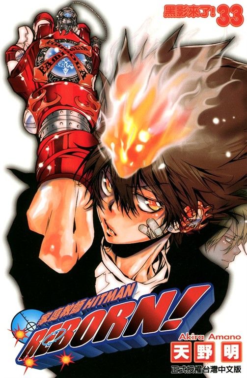 家庭教師HITMAN REBORN! (33) (電子書)